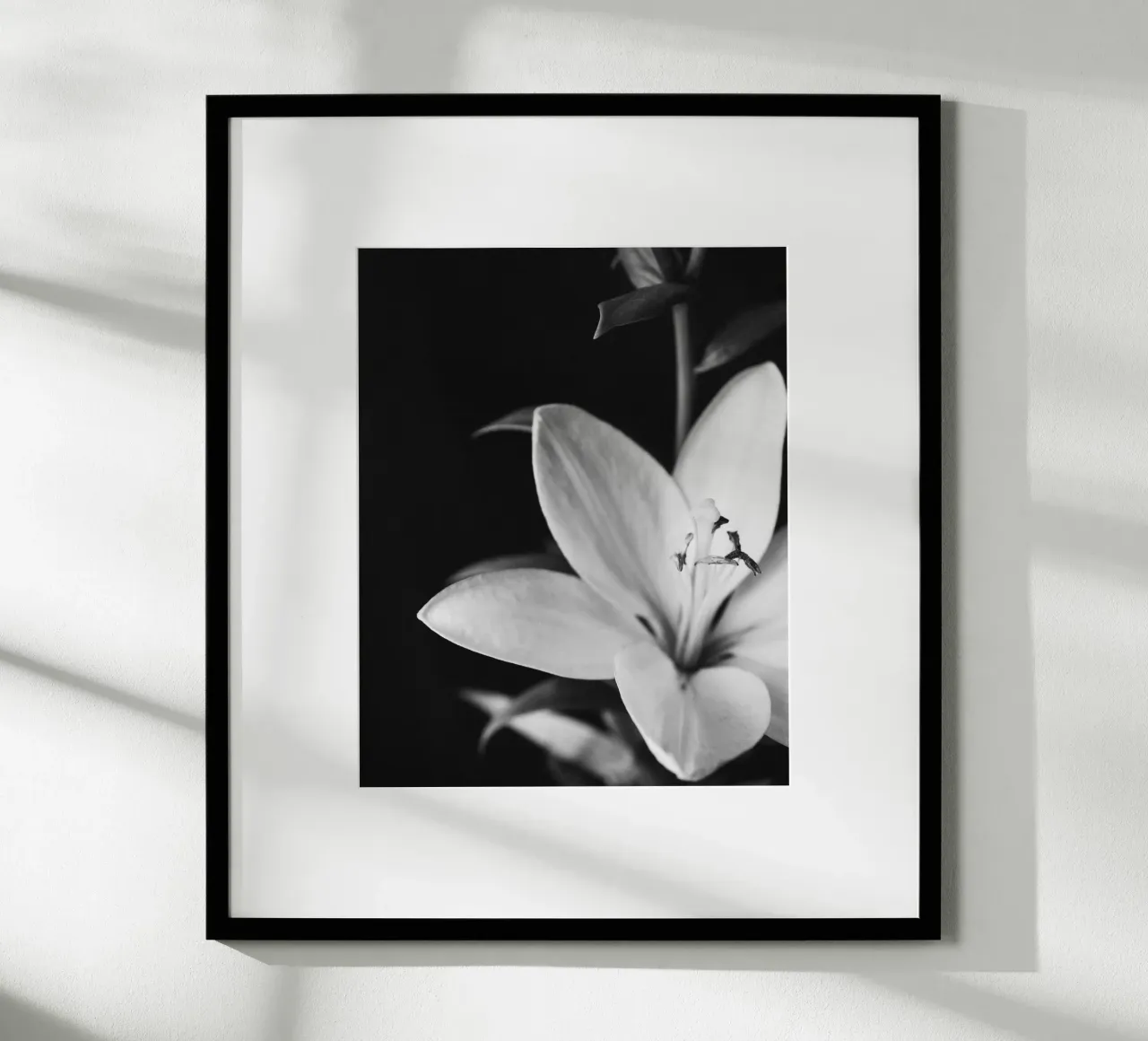 ORCHID poster da BAWA