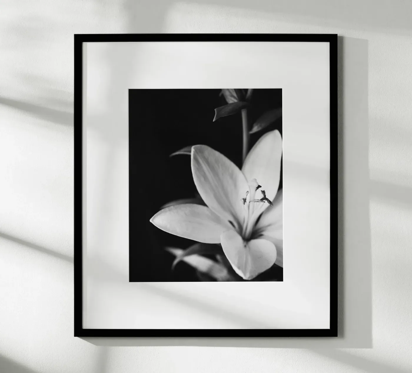 ORCHID poster da BAWA