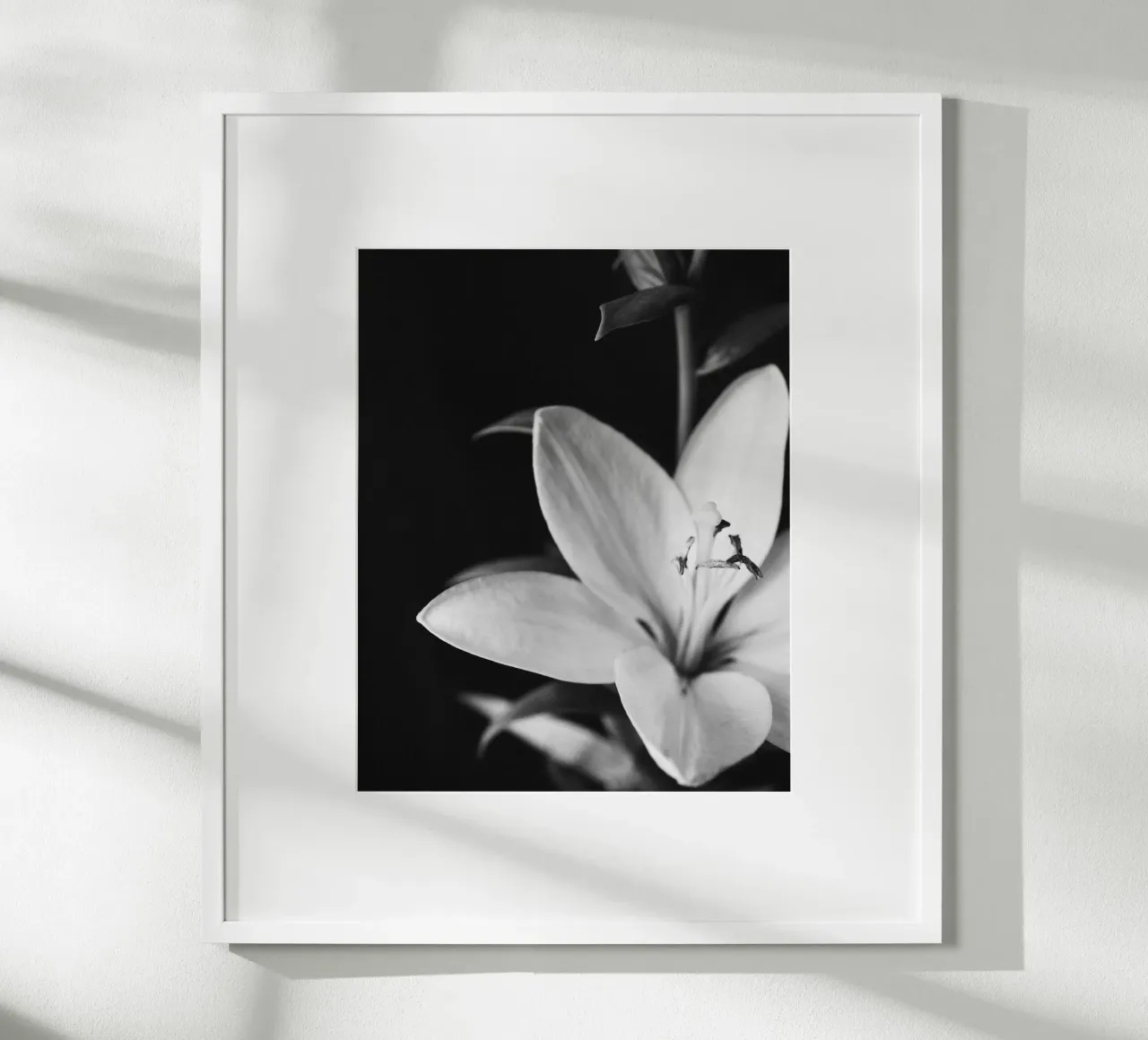 ORCHID poster da BAWA