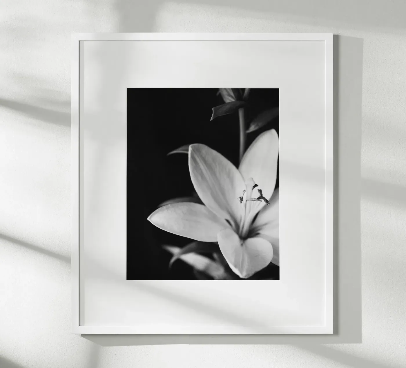ORCHID poster da BAWA