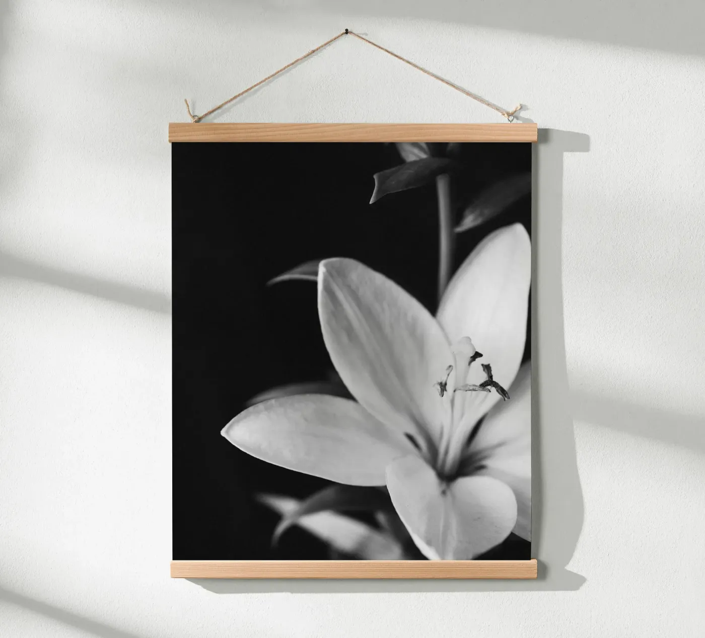 ORCHID poster da BAWA