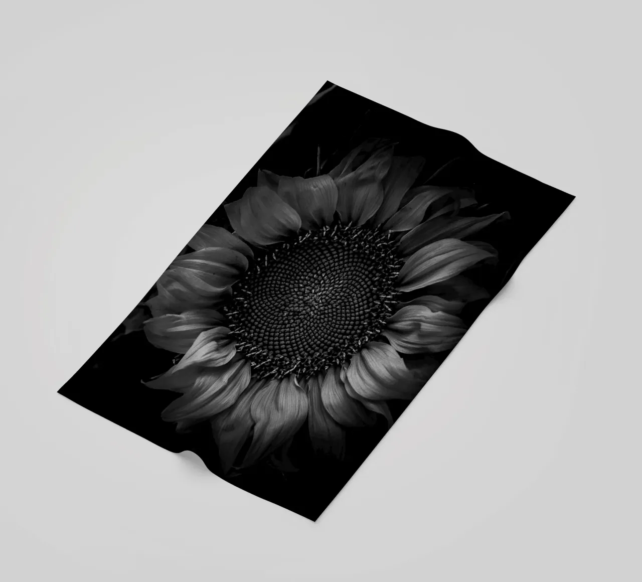 SUNFLOWER telo mare da BAWA