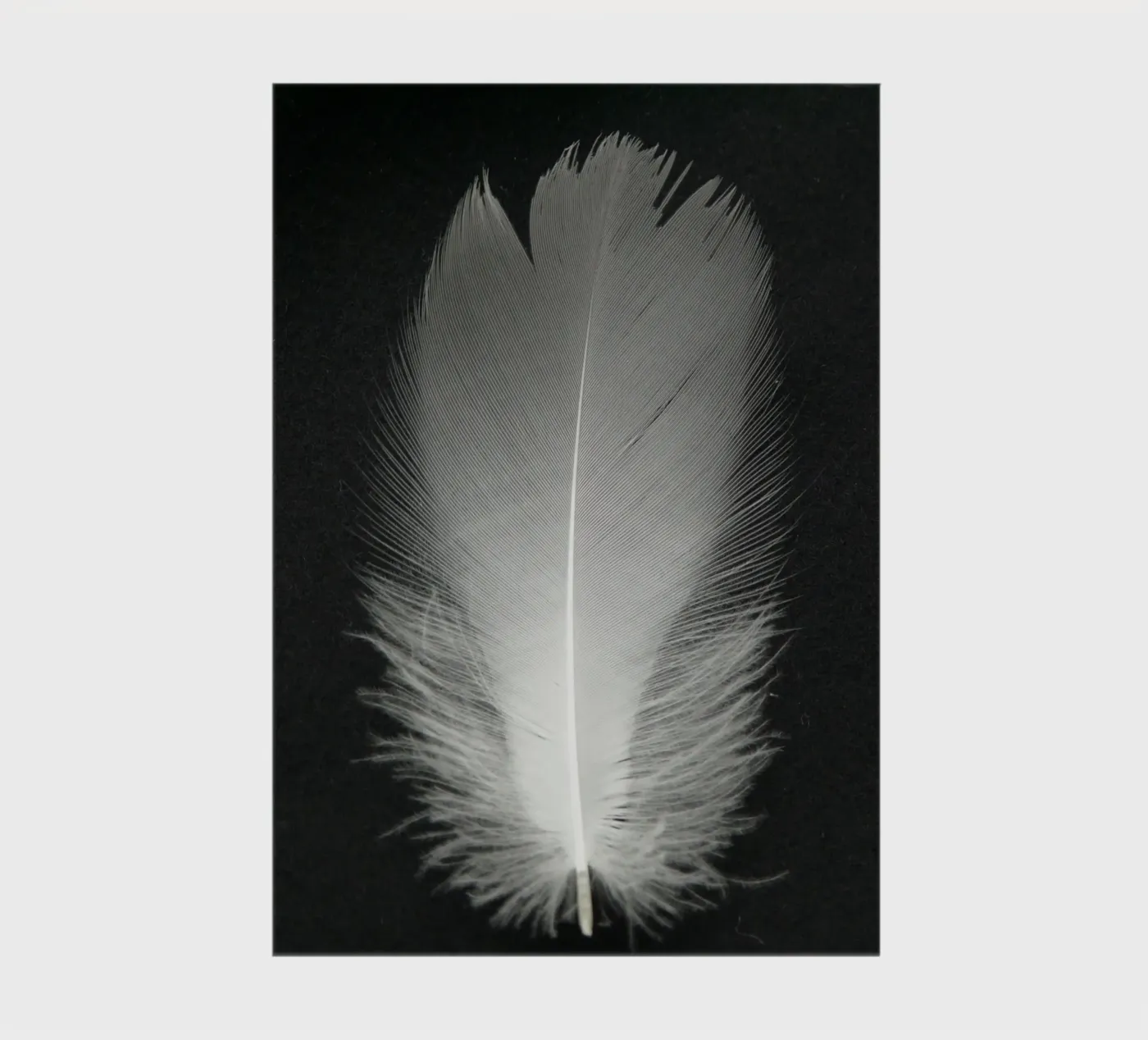 FEDER notebook by BAWA