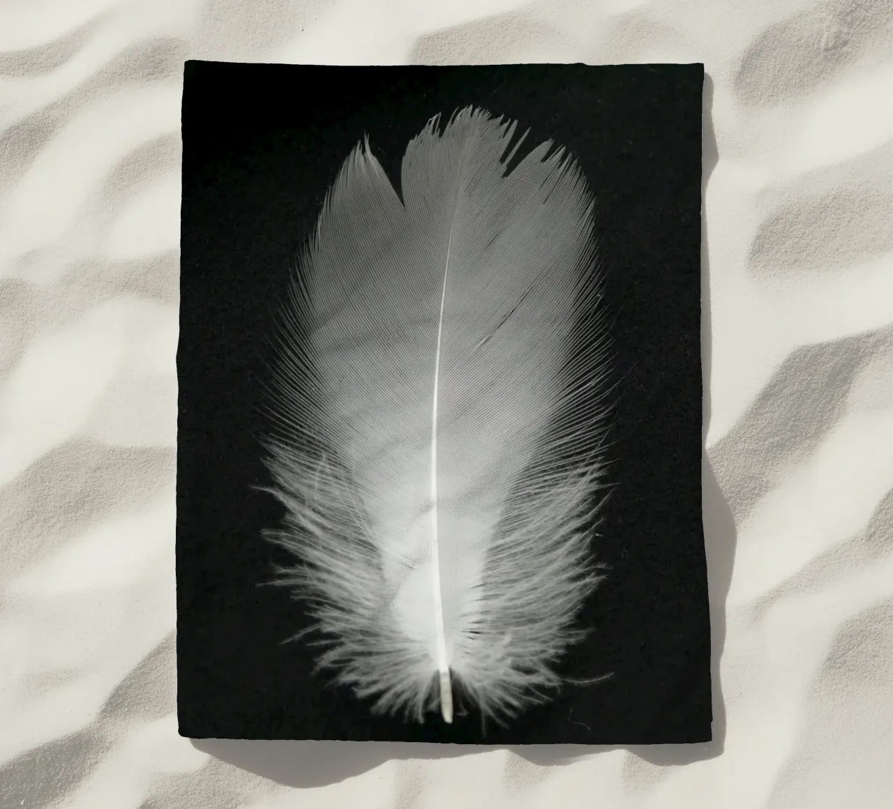 FEDER telo mare da BAWA