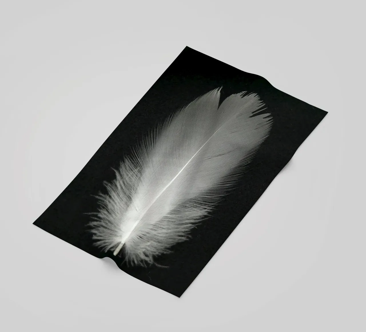 FEDER telo mare da BAWA