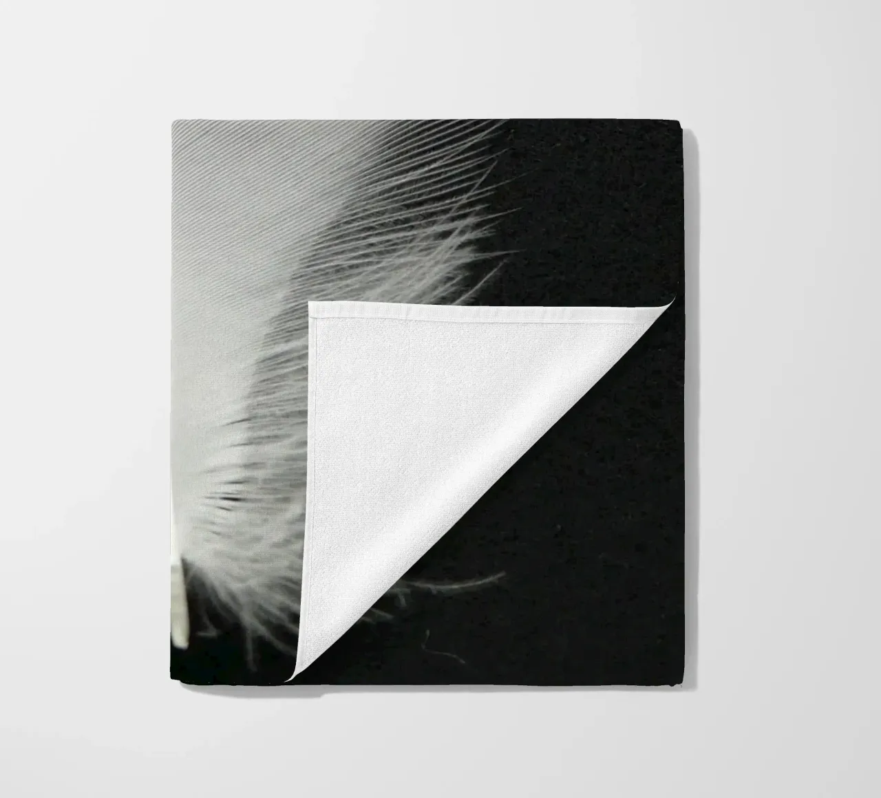 FEDER telo mare da BAWA