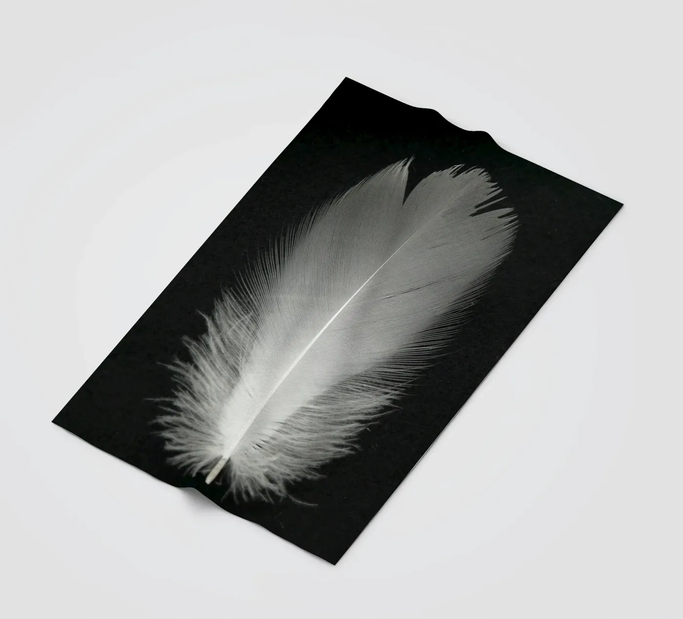 FEDER coperta in pile da BAWA