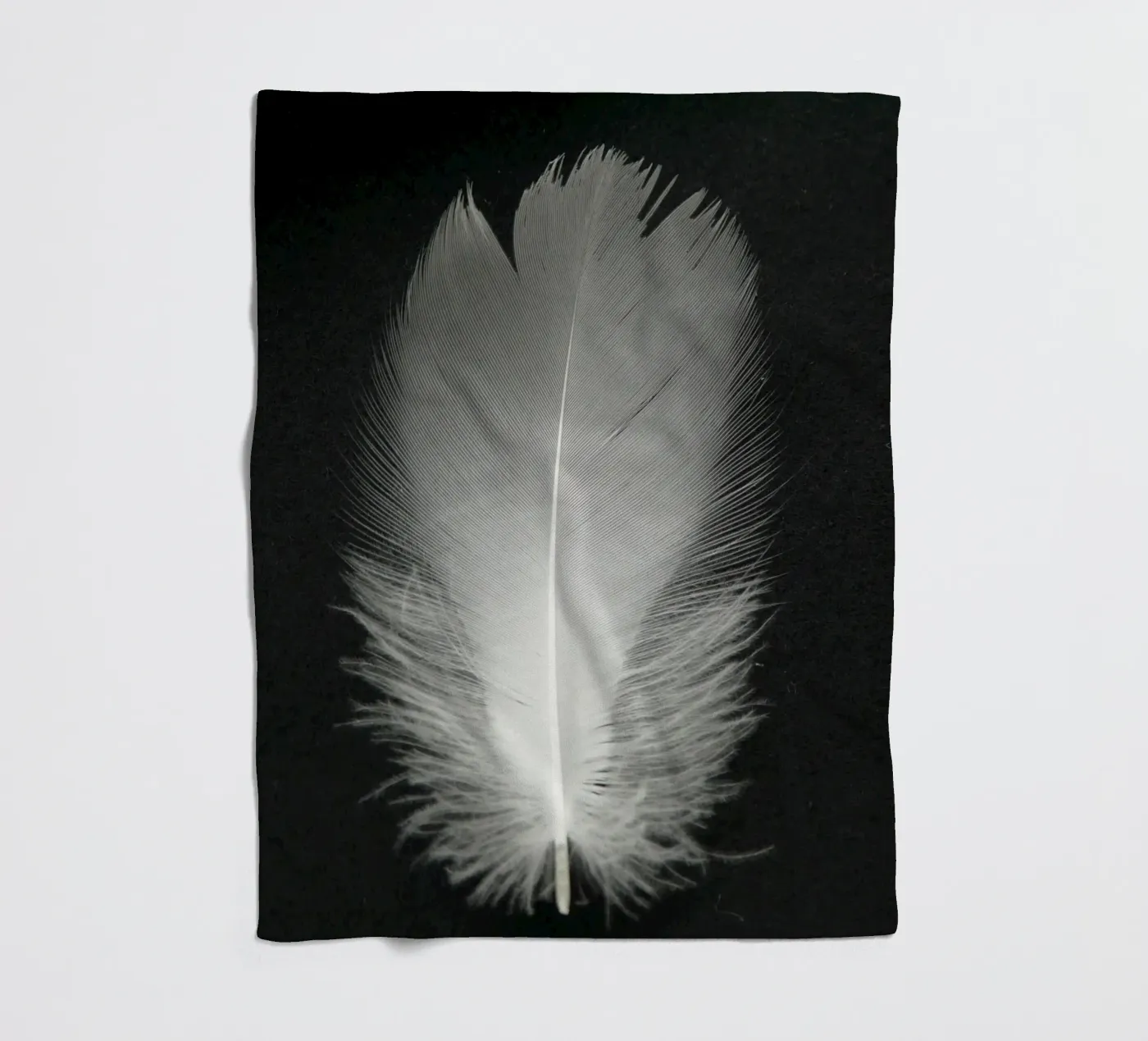 FEDER coperta in pile da BAWA