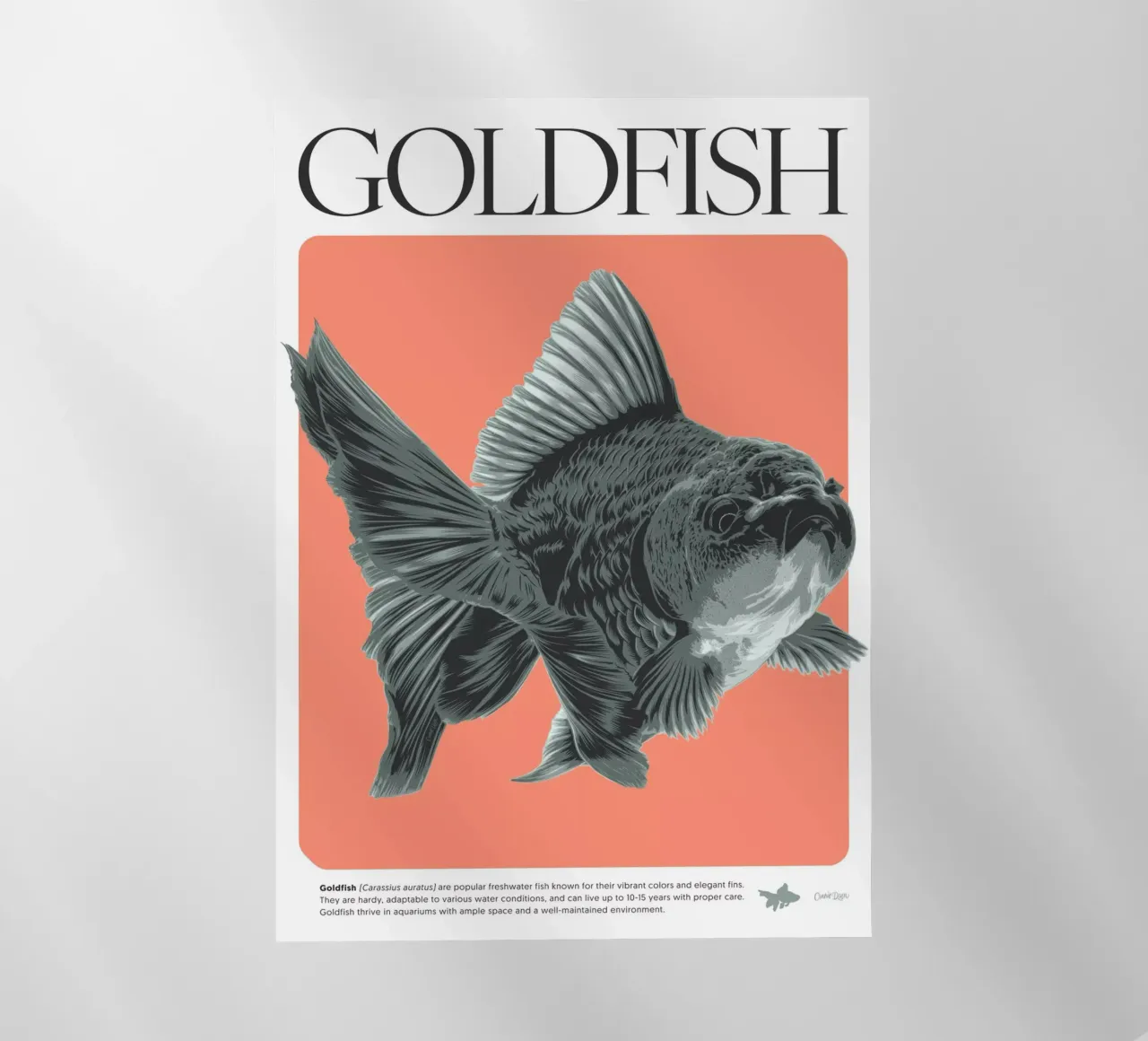 PESCE D'ORO pellicola backlit da Cranio Dsgn