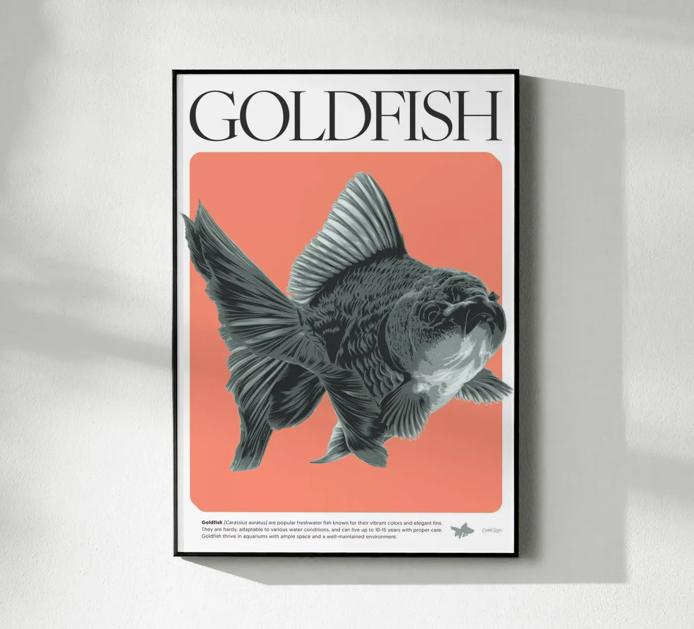 PESCE D'ORO plexiglass da Cranio Dsgn