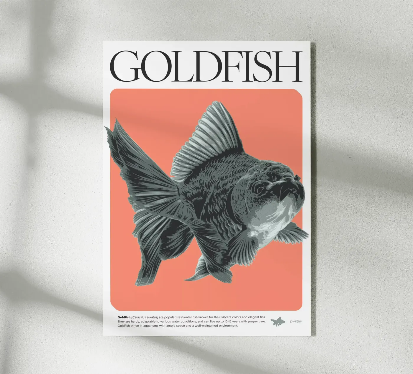 PESCE D'ORO plexiglass da Cranio Dsgn