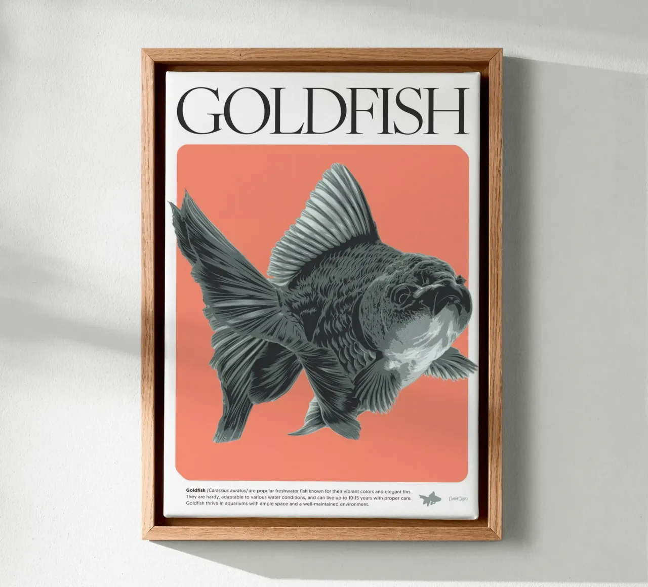 PESCE D'ORO tela con Cornice a cassetta da Cranio Dsgn
