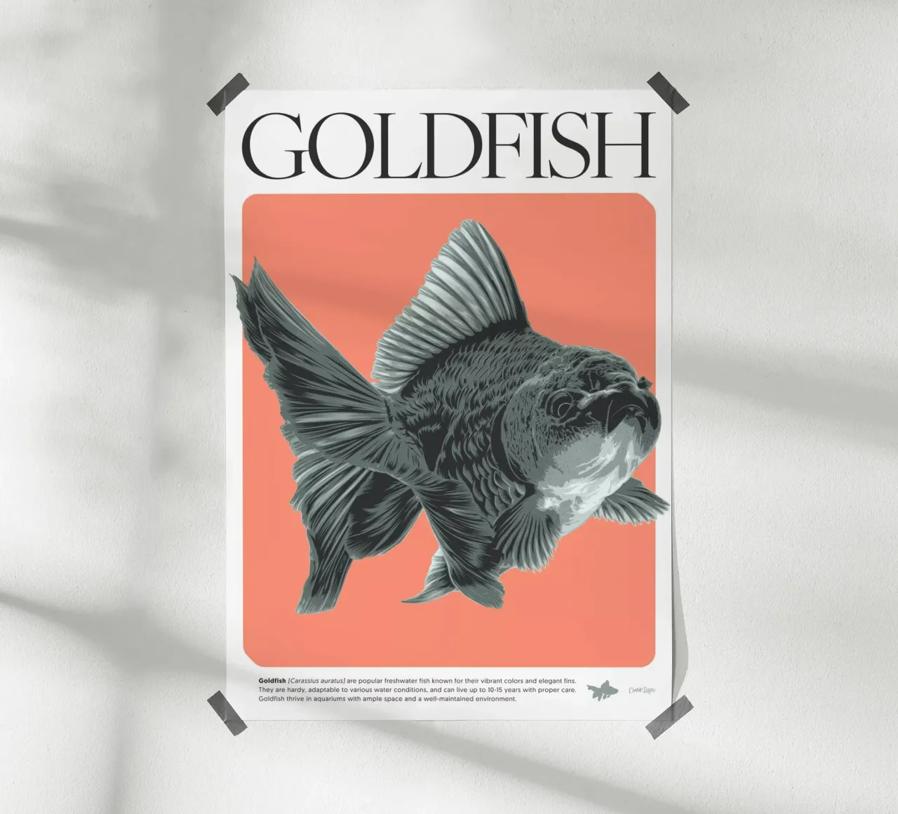 PESCE D'ORO carta hahnemühle da Cranio Dsgn