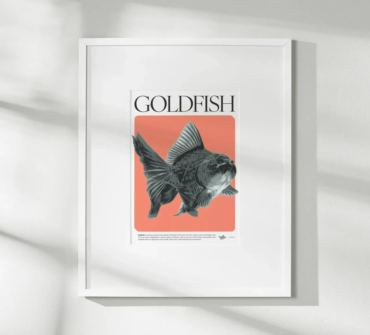 PESCE D'ORO carta hahnemühle da Cranio Dsgn