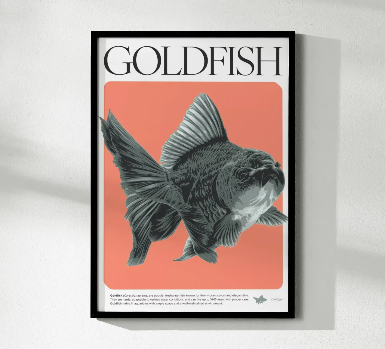 PESCE D'ORO carta hahnemühle da Cranio Dsgn