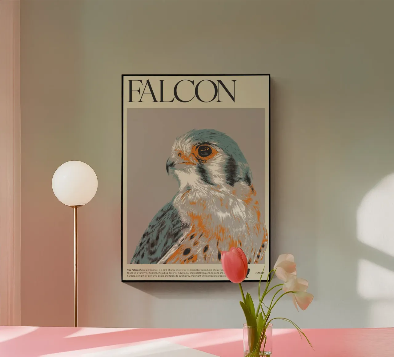 FALCON plexiglass da Cranio Dsgn