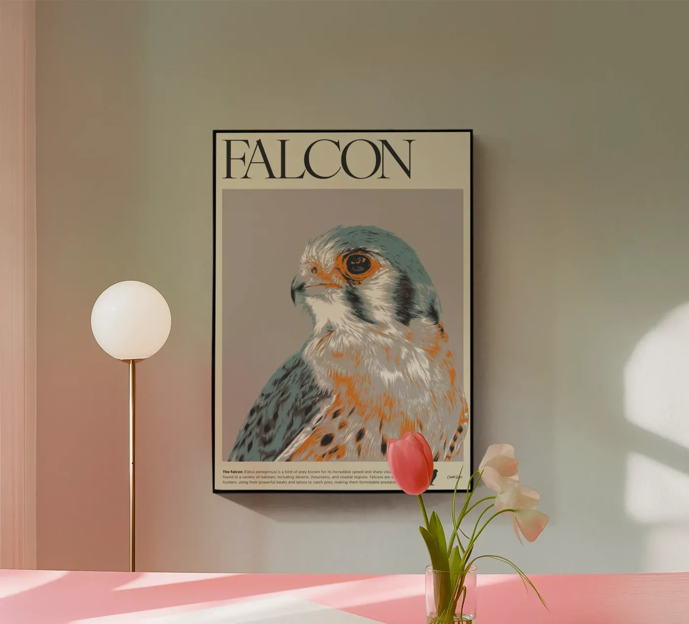 FALCON acryl van Cranio Dsgn