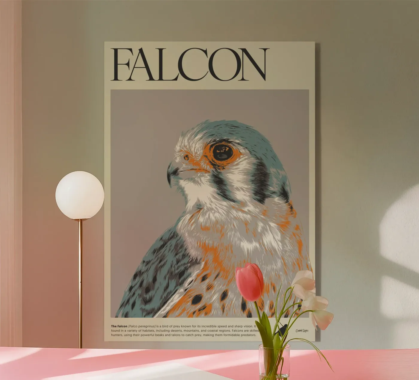 FALCON acryl van Cranio Dsgn