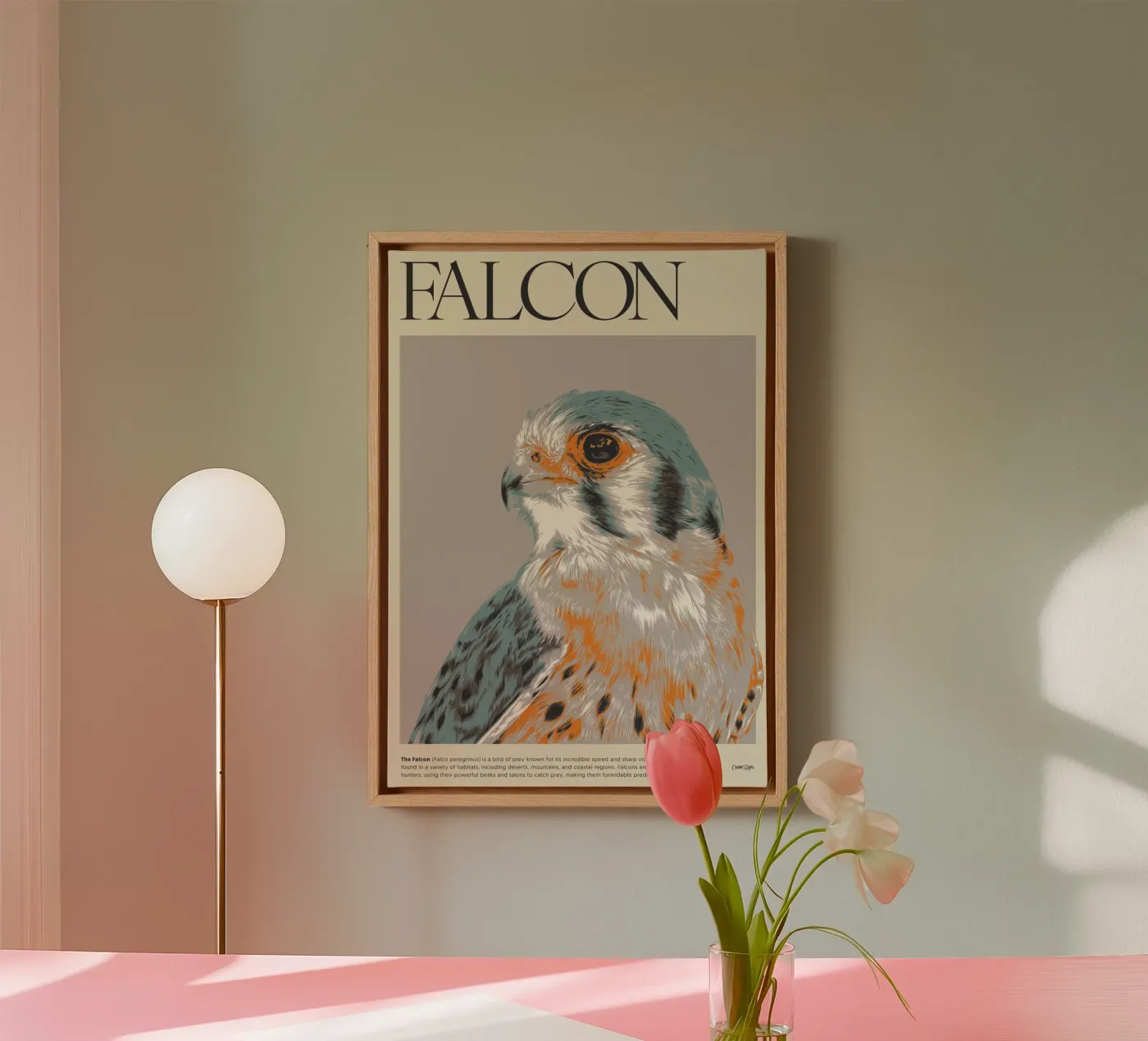 FALCON tela da Cranio Dsgn