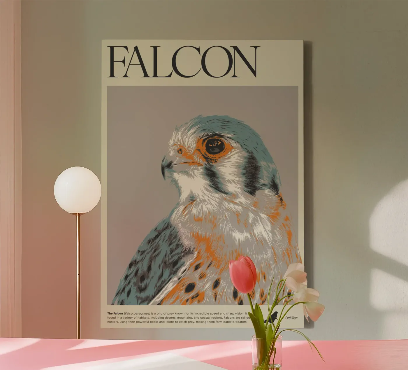 FALCON tela da Cranio Dsgn