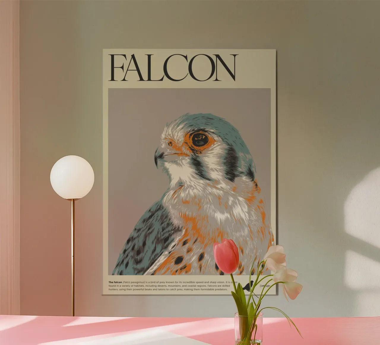FALCON poster con telaio in plastica da Cranio Dsgn
