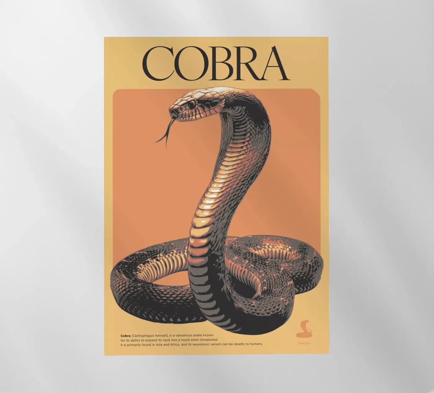 COBRA pellicola backlit da Cranio Dsgn