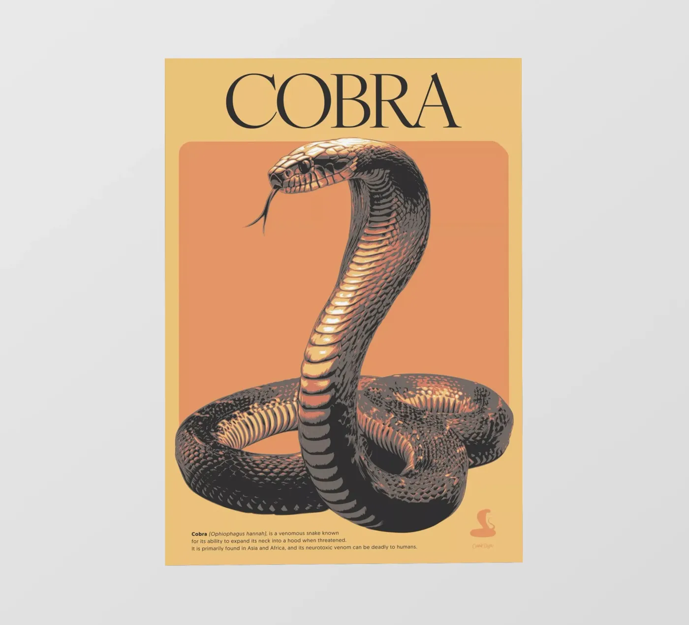 COBRA pellicola backlit da Cranio Dsgn