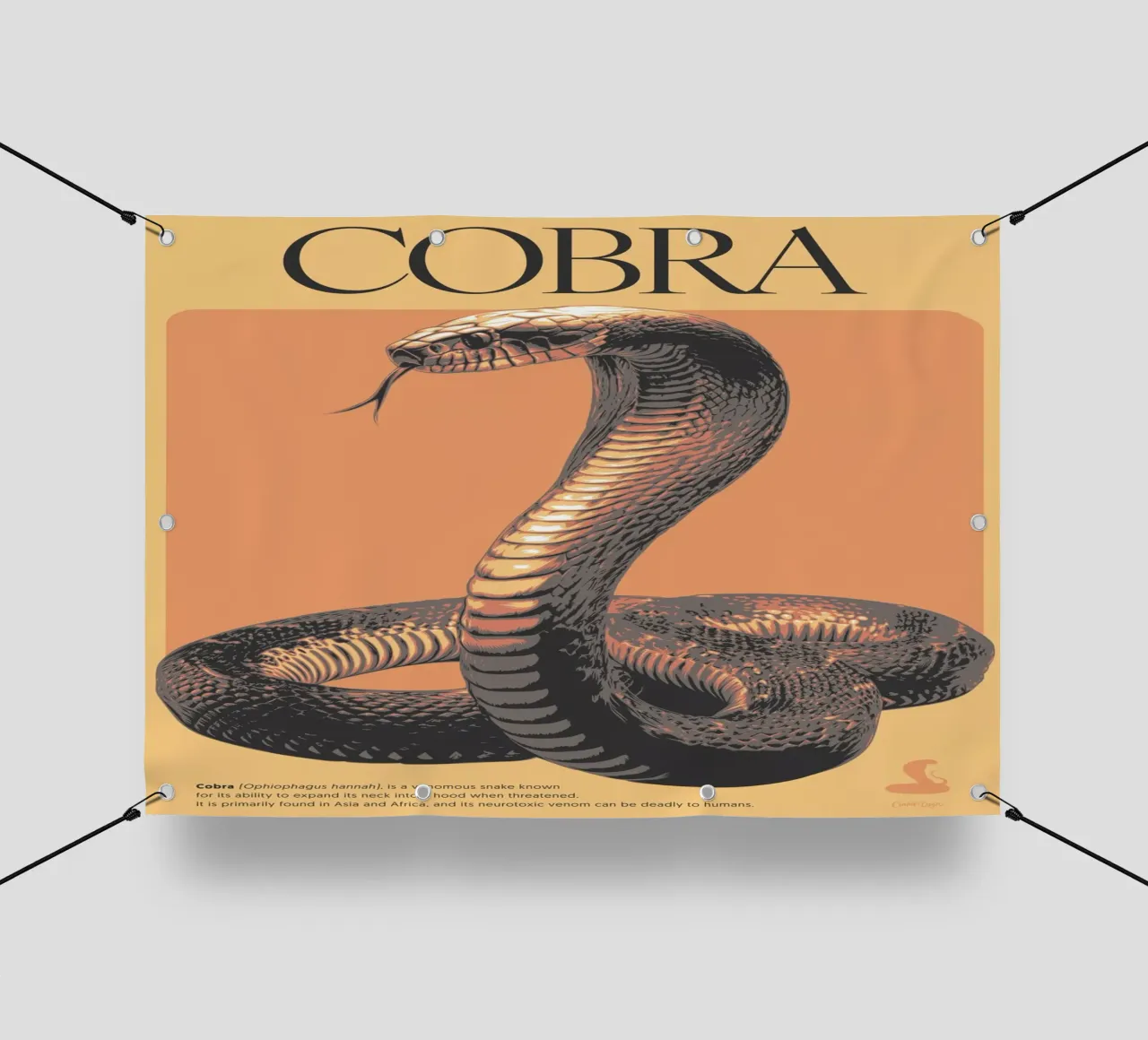 COBRA telo in pvc da Cranio Dsgn