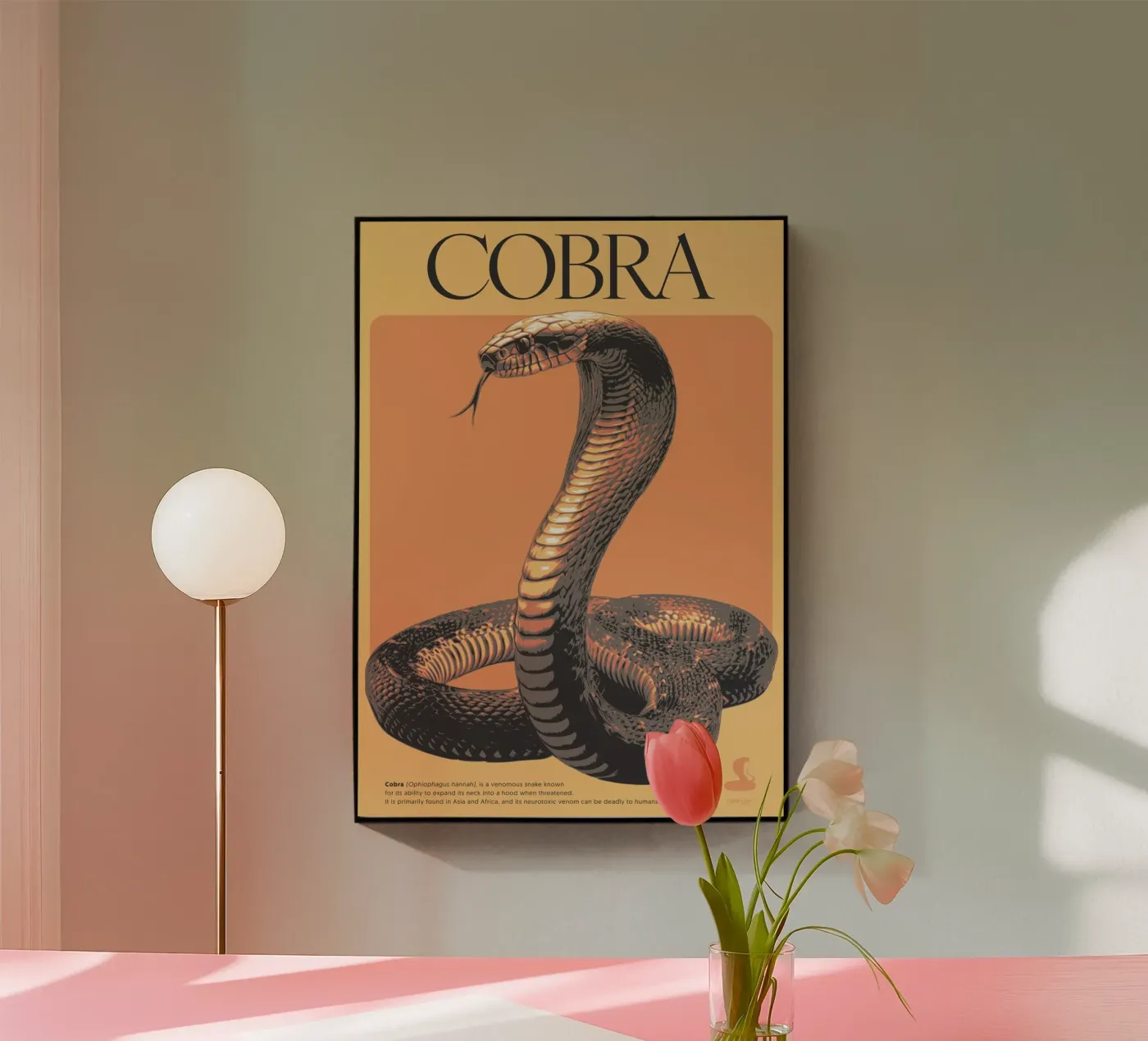 COBRA plexiglas de Cranio Dsgn