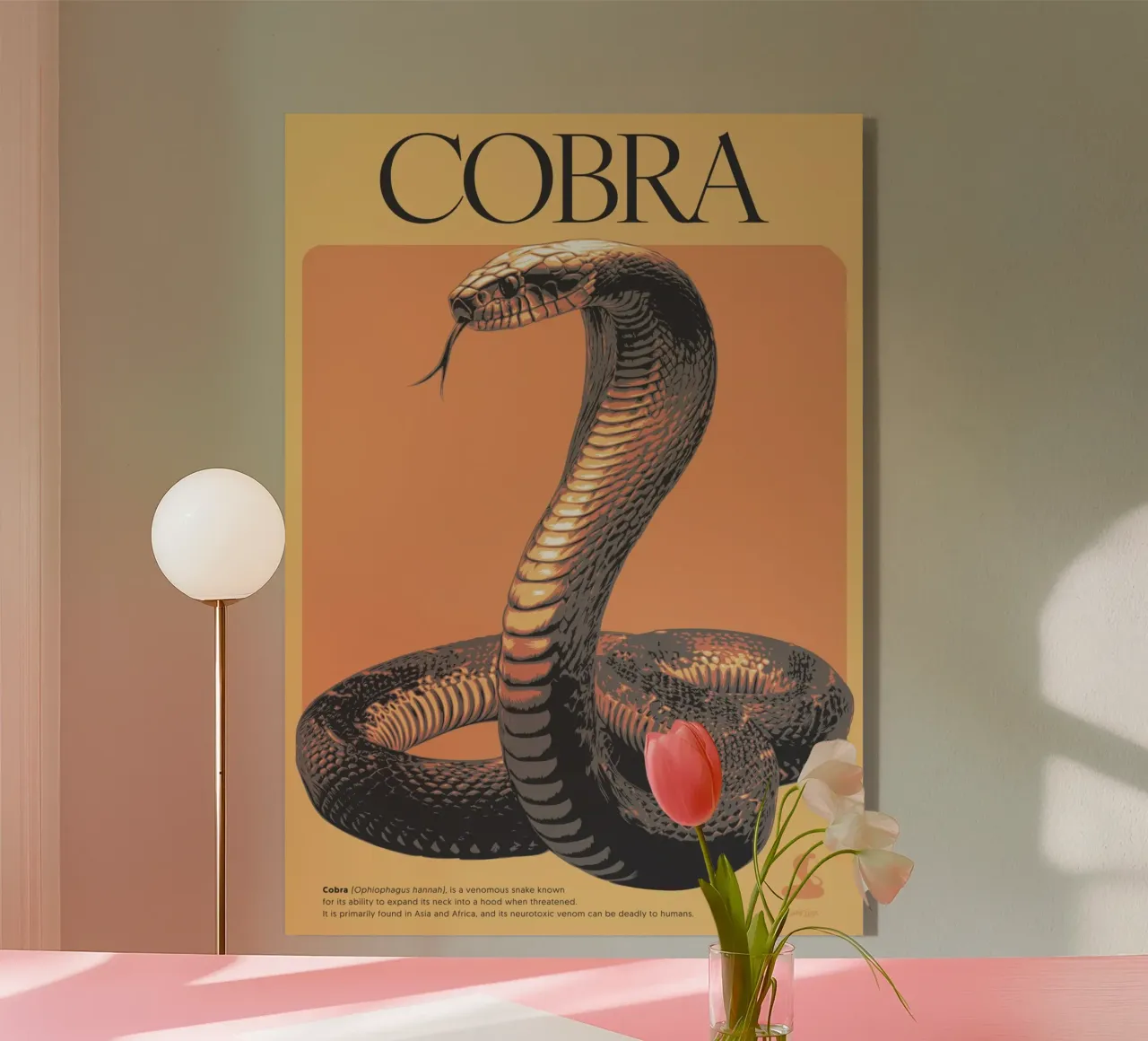 COBRA plexiglass da Cranio Dsgn