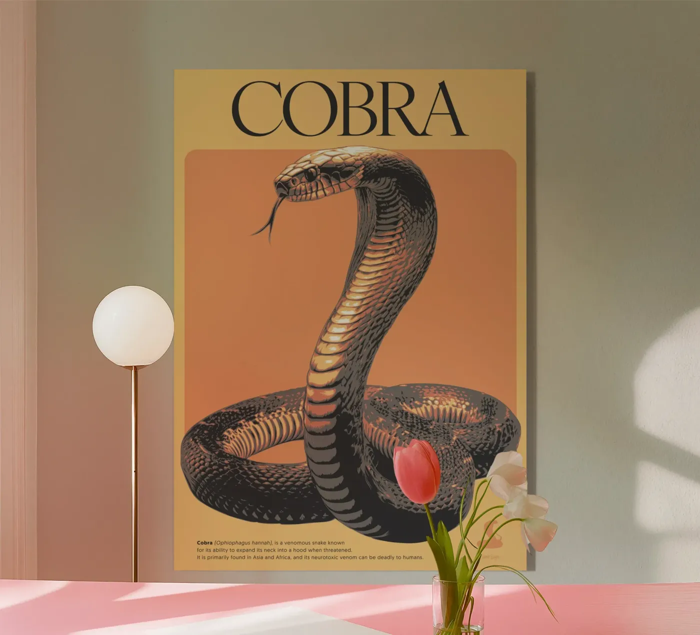 COBRA plexiglas de Cranio Dsgn