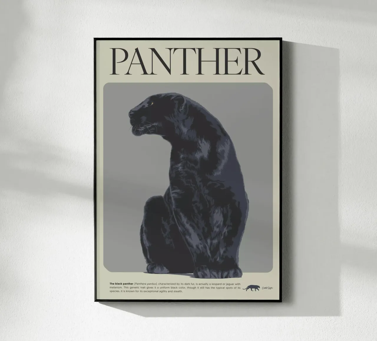 PANTHER plexiglass da Cranio Dsgn