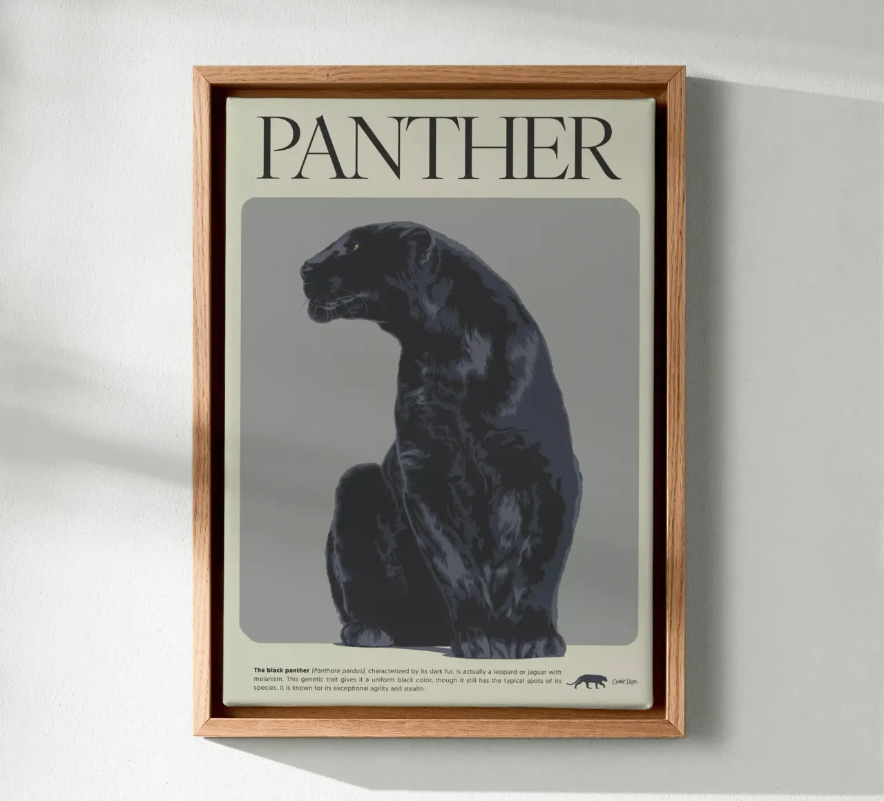 PANTHER tela con Cornice a cassetta da Cranio Dsgn