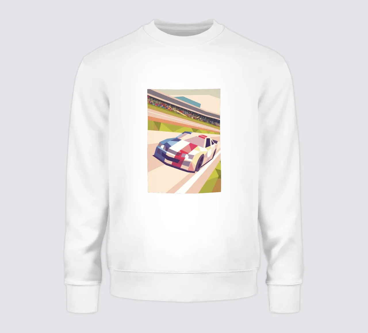 Auto da corsa in pista felpa da POLYGON SPECIAL