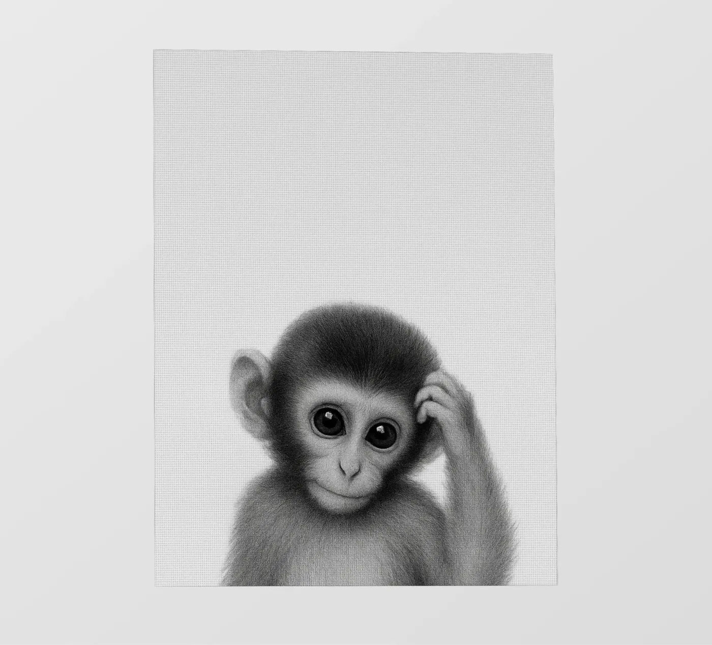 Monkey pellicola backlit da Ella Barga