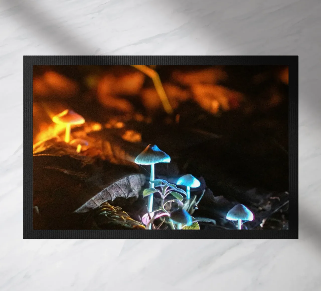 Mushroom zerbino da lesuki