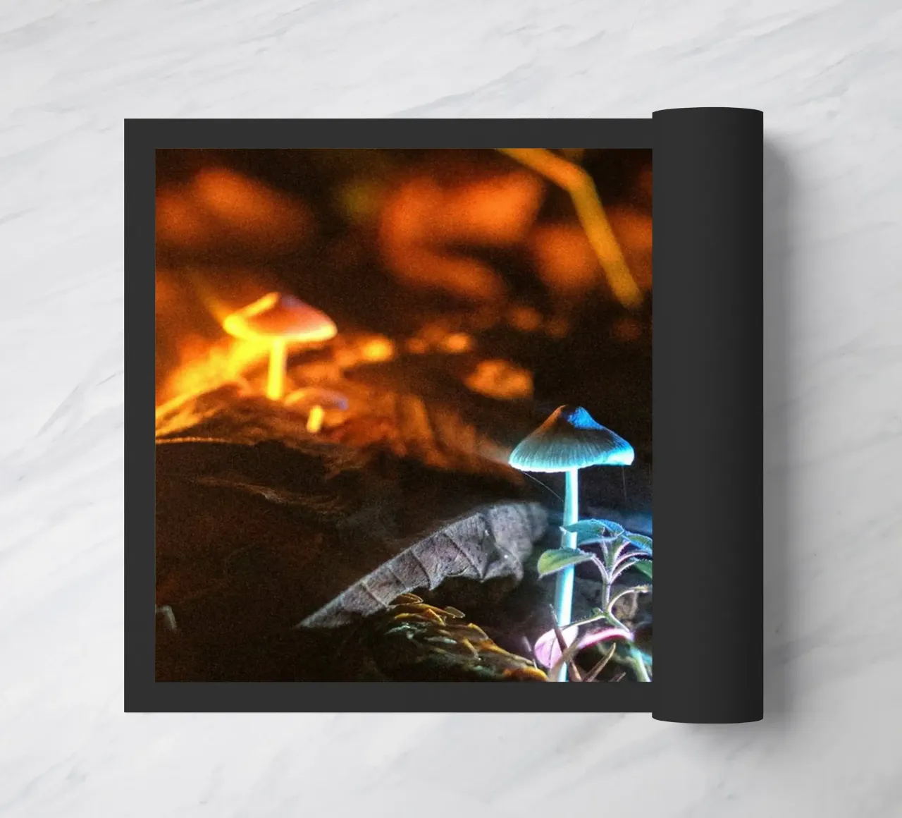 Mushroom zerbino da lesuki