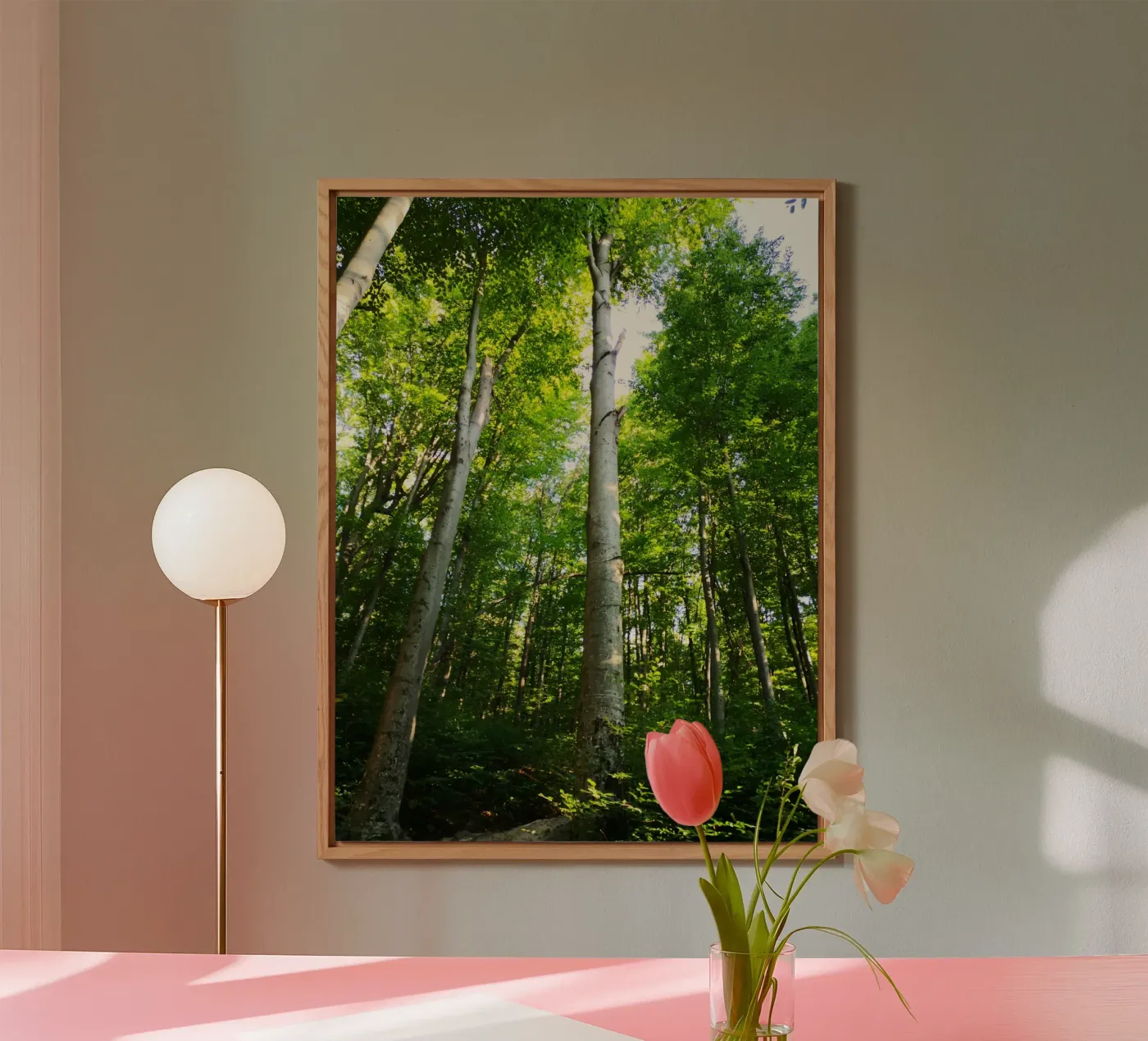 Moldovan forest pannello forex da gtobonart