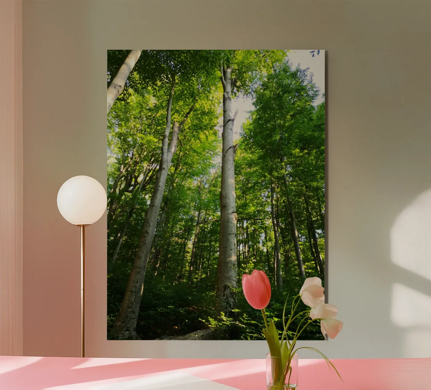 Moldovan forest pannello forex da gtobonart