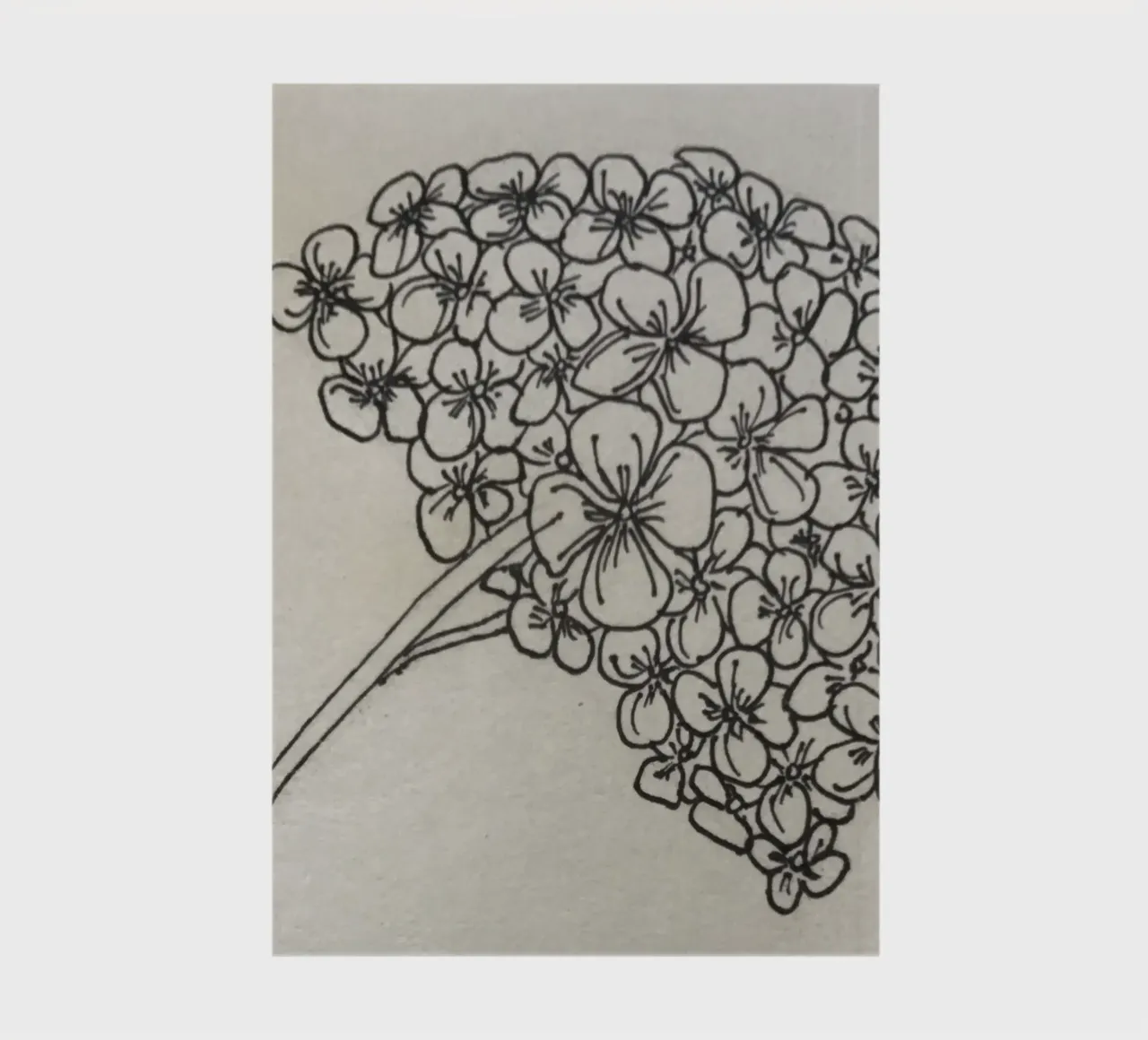 Hydrangea notebook by meipunkt