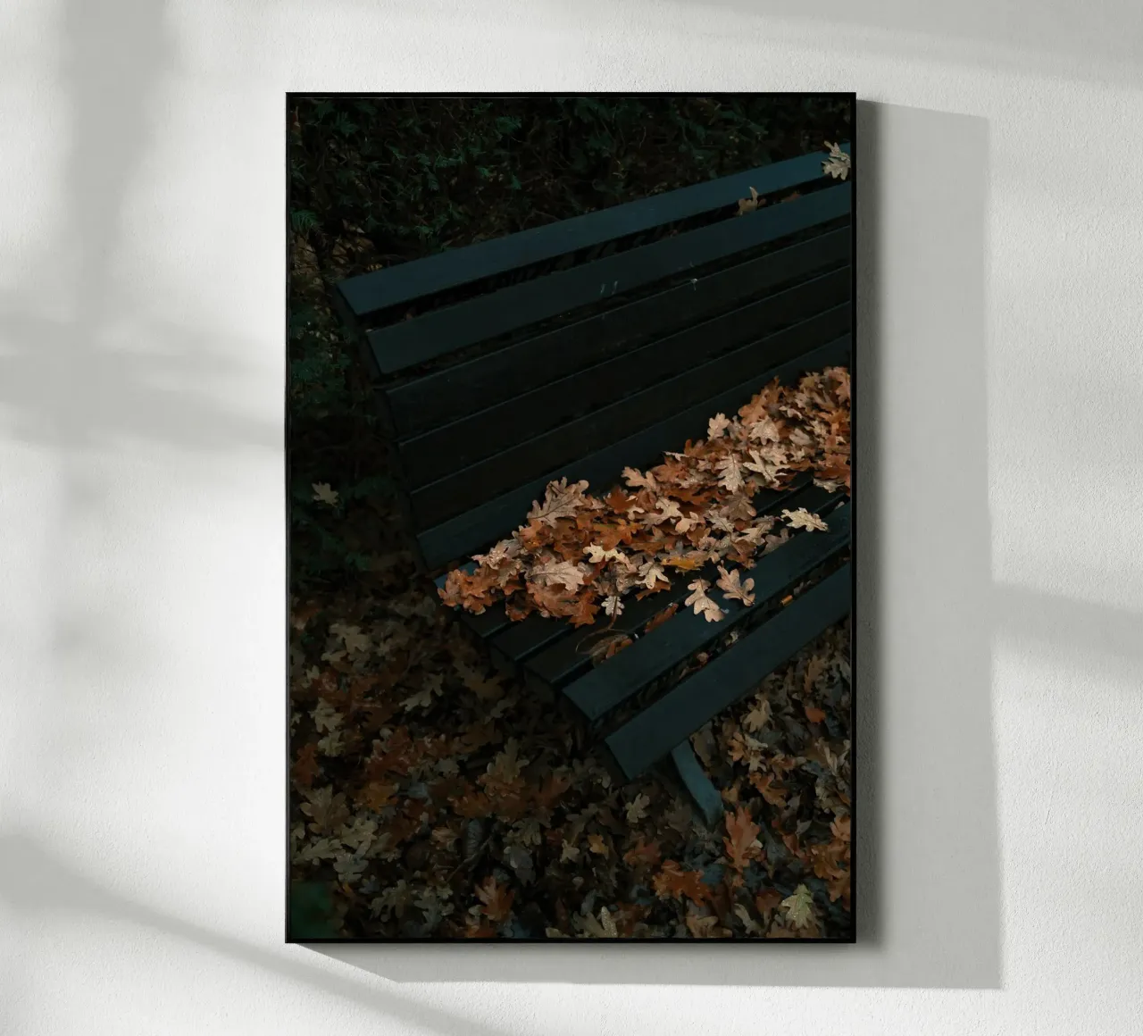 Congedo rosso plexiglass da lesuki