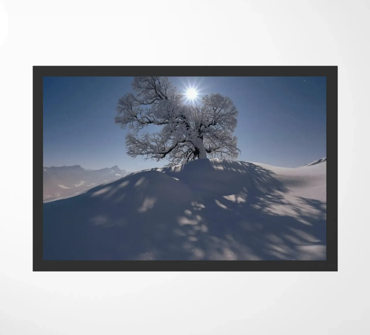 Albero coperto di neve zerbino da lesuki