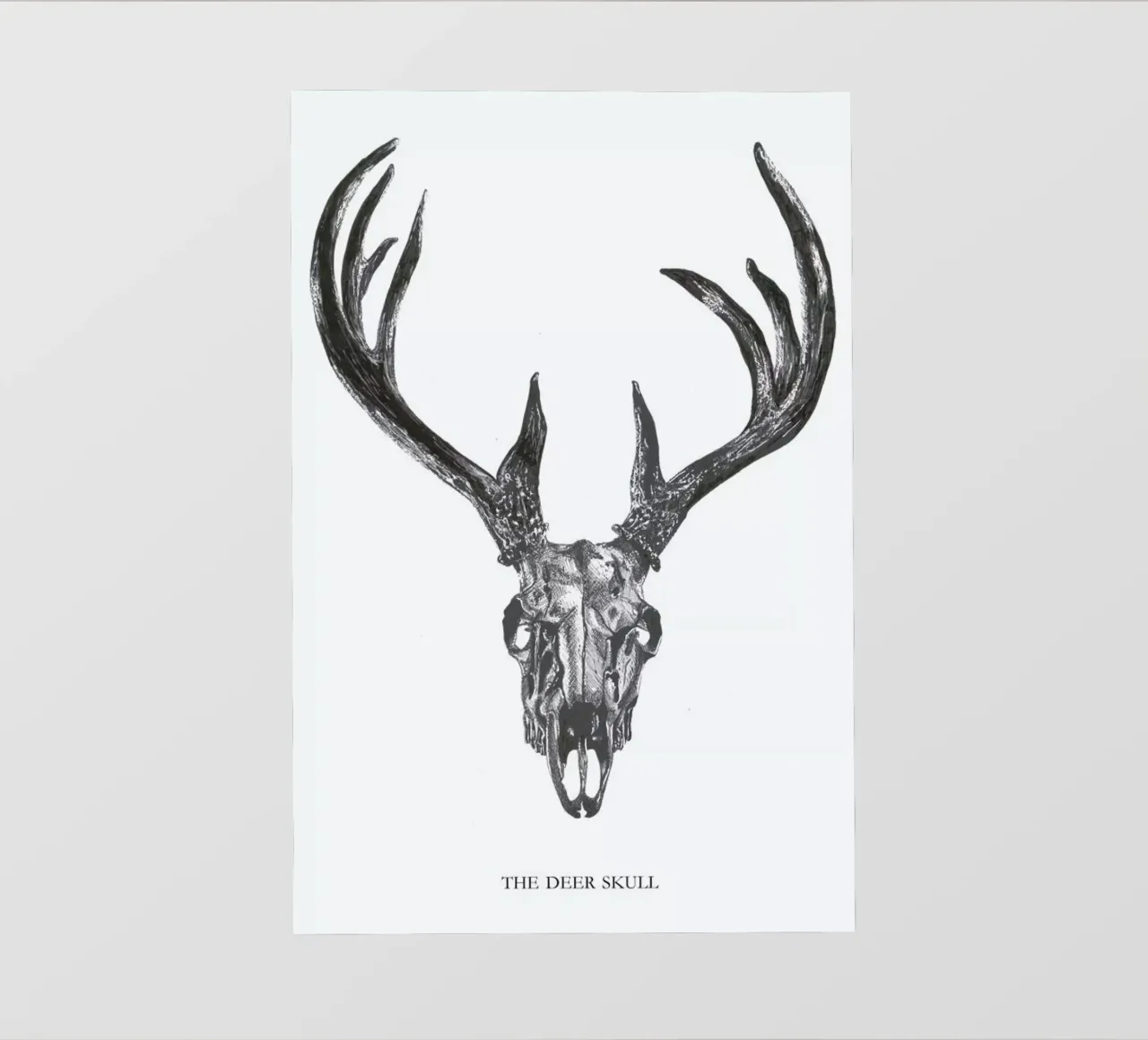 The Deer Skull pellicola backlit da Mathilde Olsen