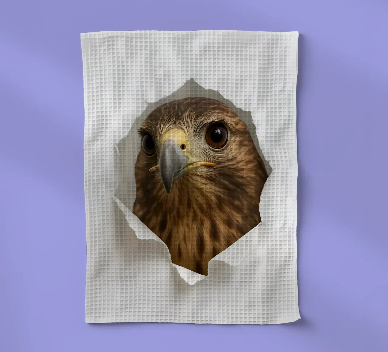 Buse curieuse jetant un coup d'œil à travers du papier - Hyper Realistic Art torchon de Cut-out Critter Gallery
