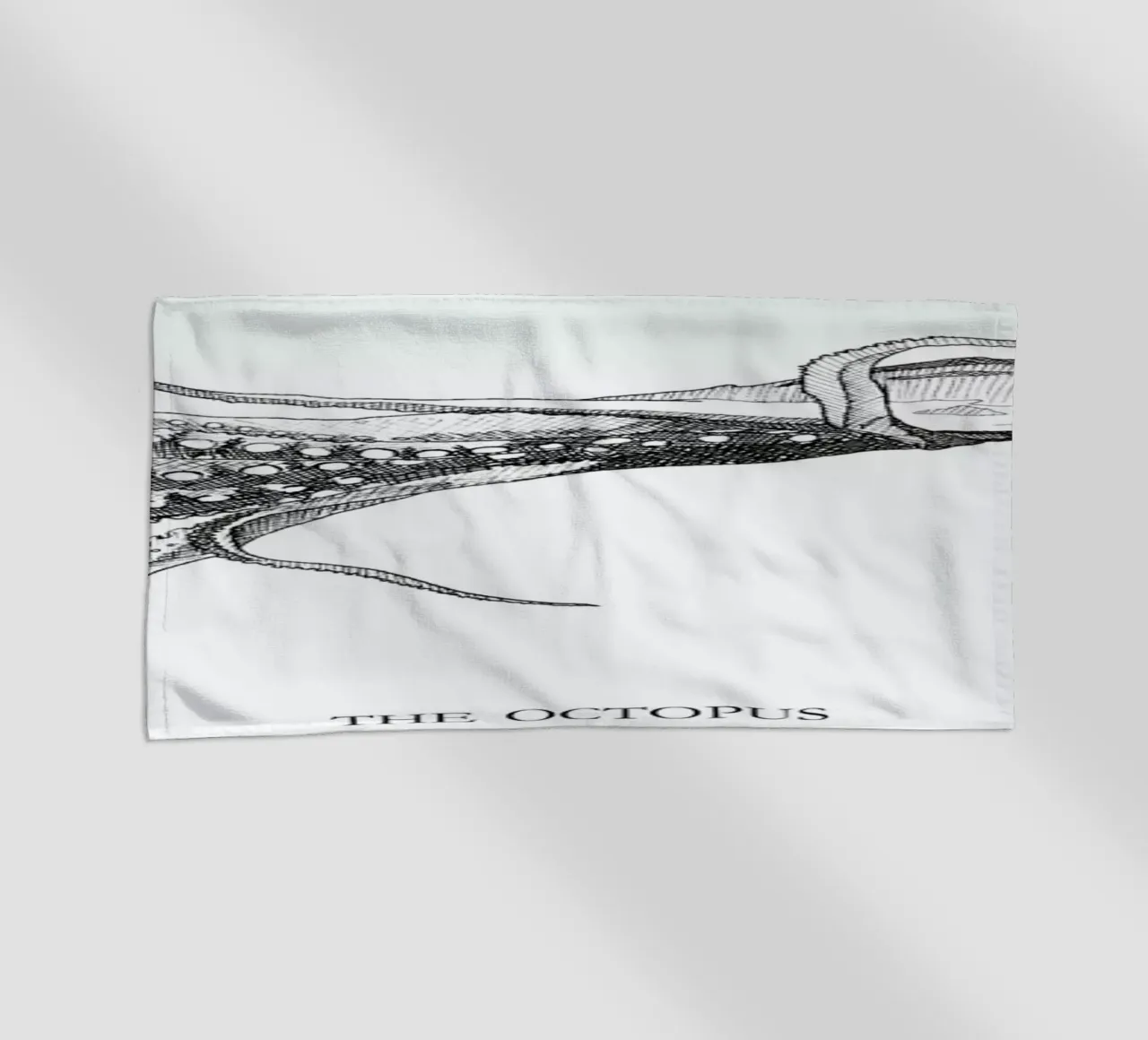 The Octopus telo mare da Mathilde Olsen
