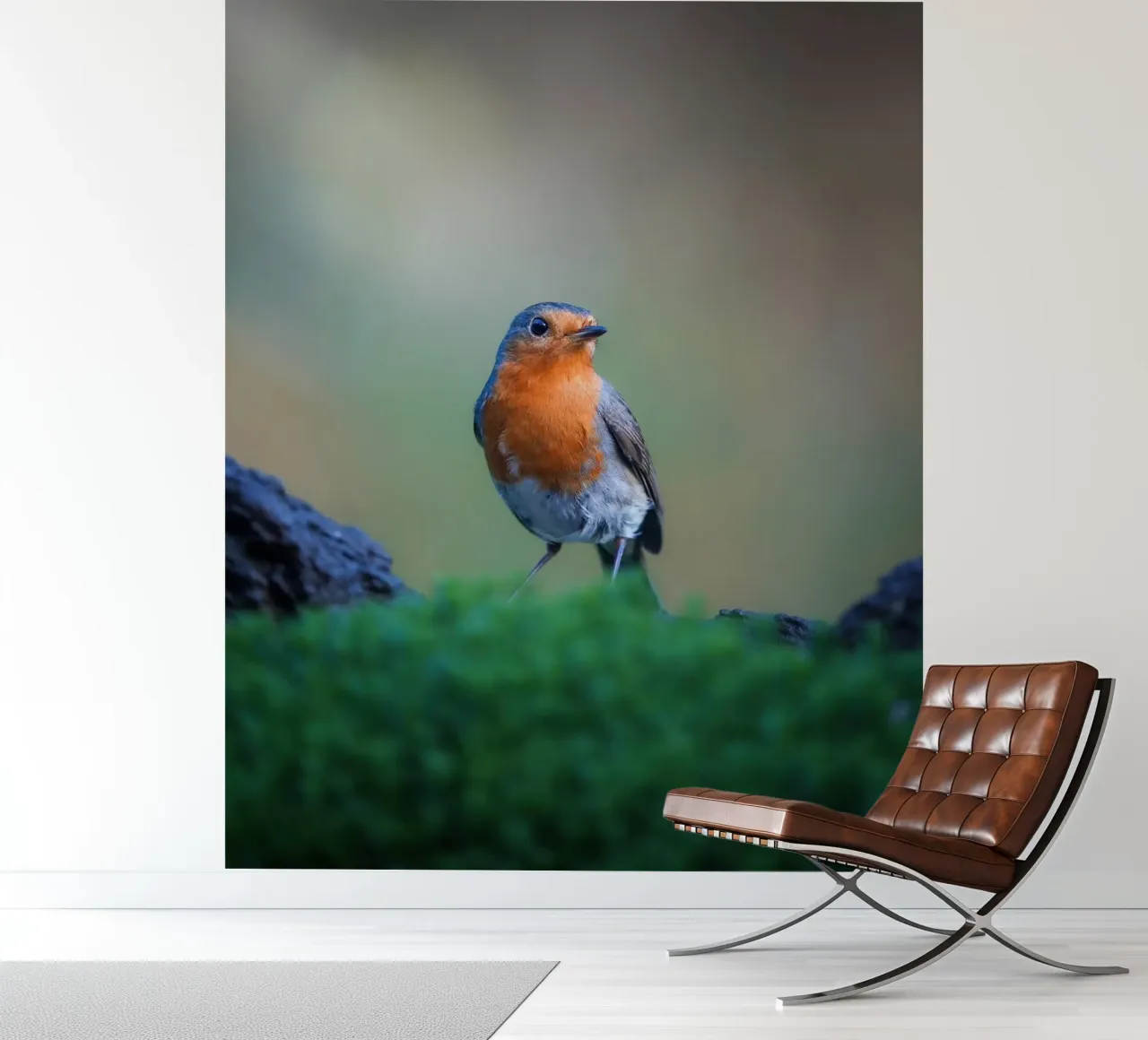 Robin fotobehang van Tom's Wildlife