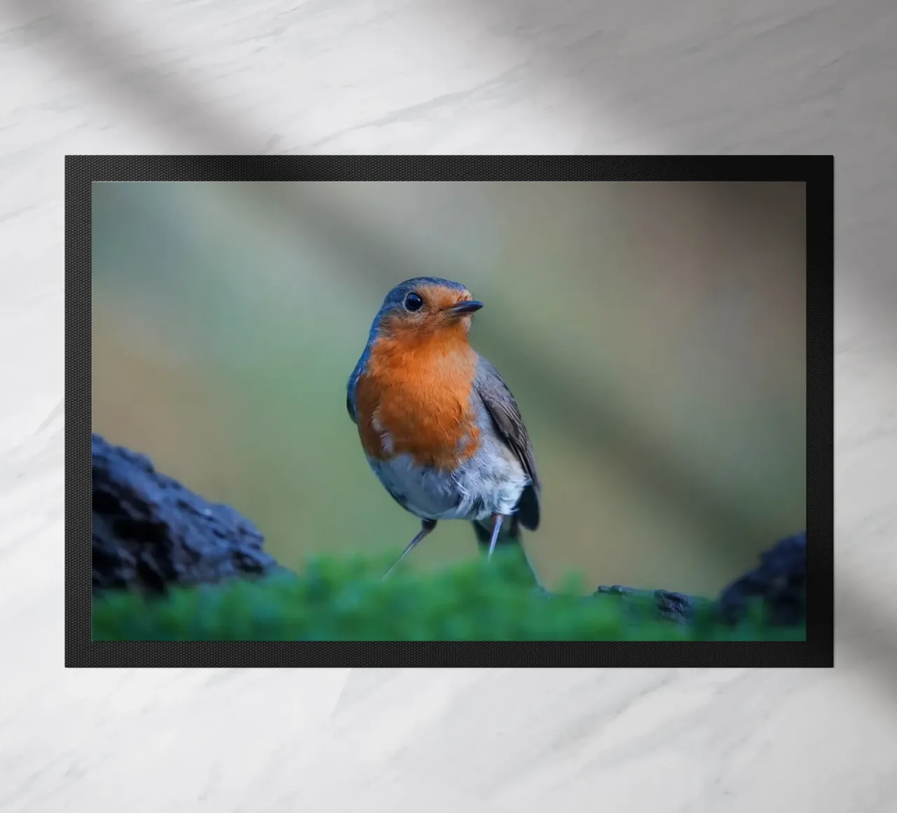 Robin deurmat van Tom's Wildlife