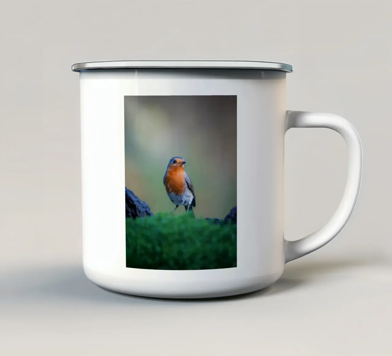 Robin tazza in smalto da Tom's Wildlife