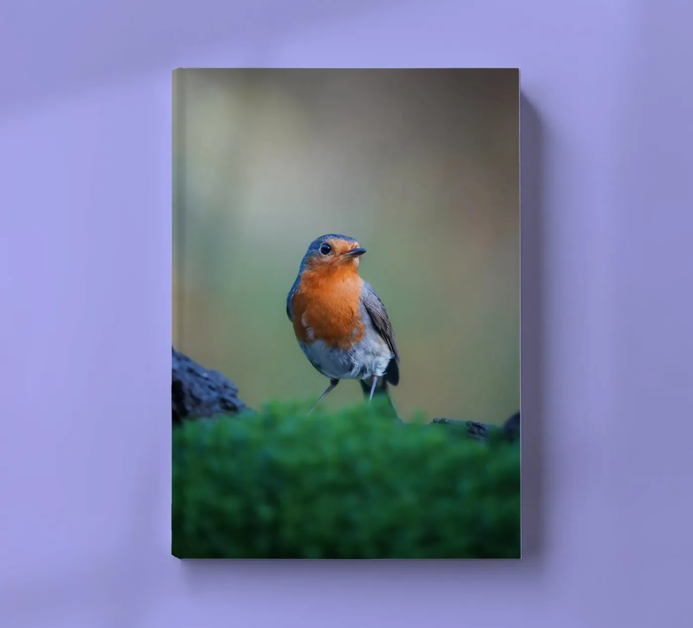 Robin notebook by Tom's Wildlife