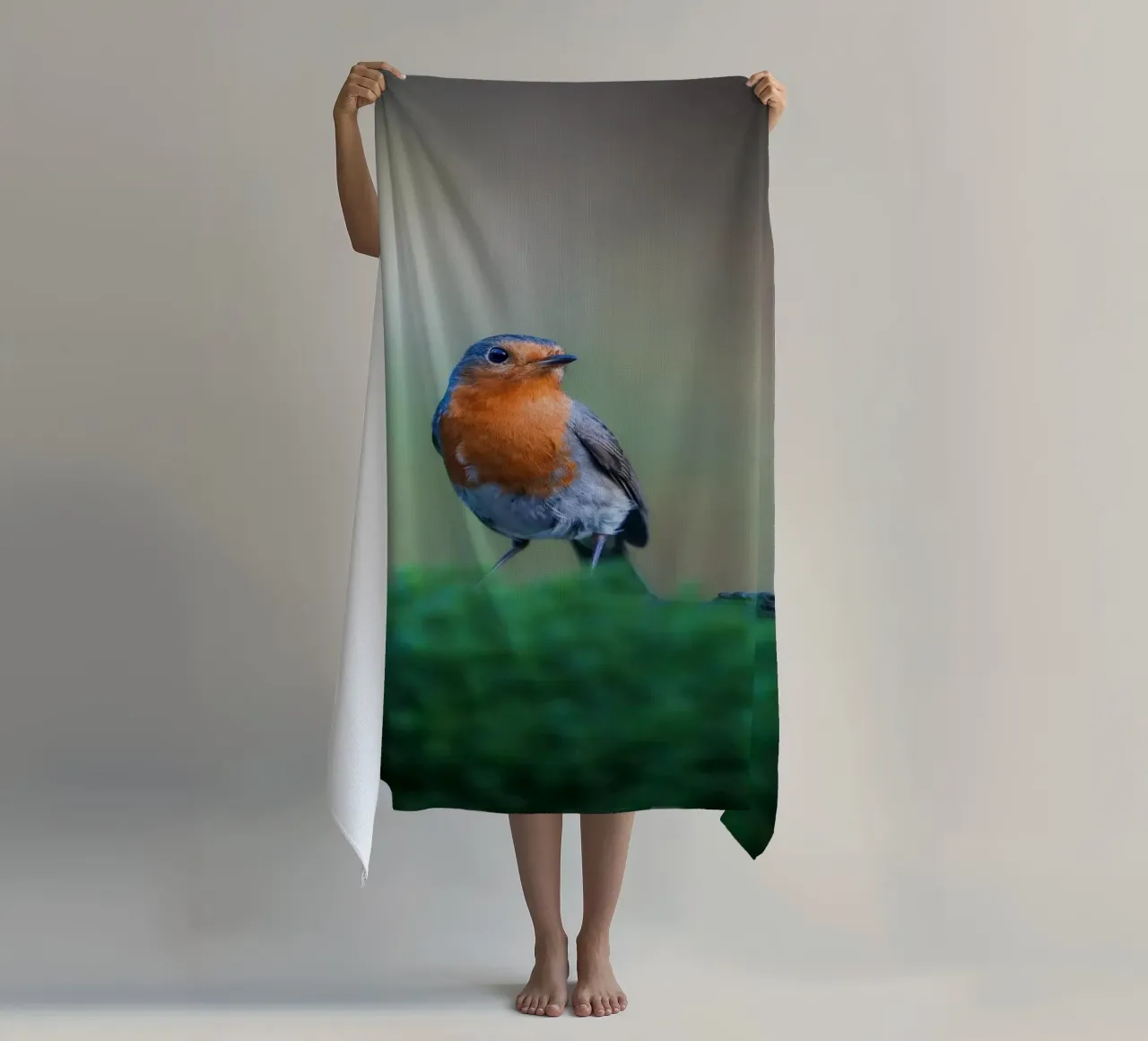 Robin telo mare da Tom's Wildlife